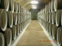 Завод Архадерессе: винные подвалы